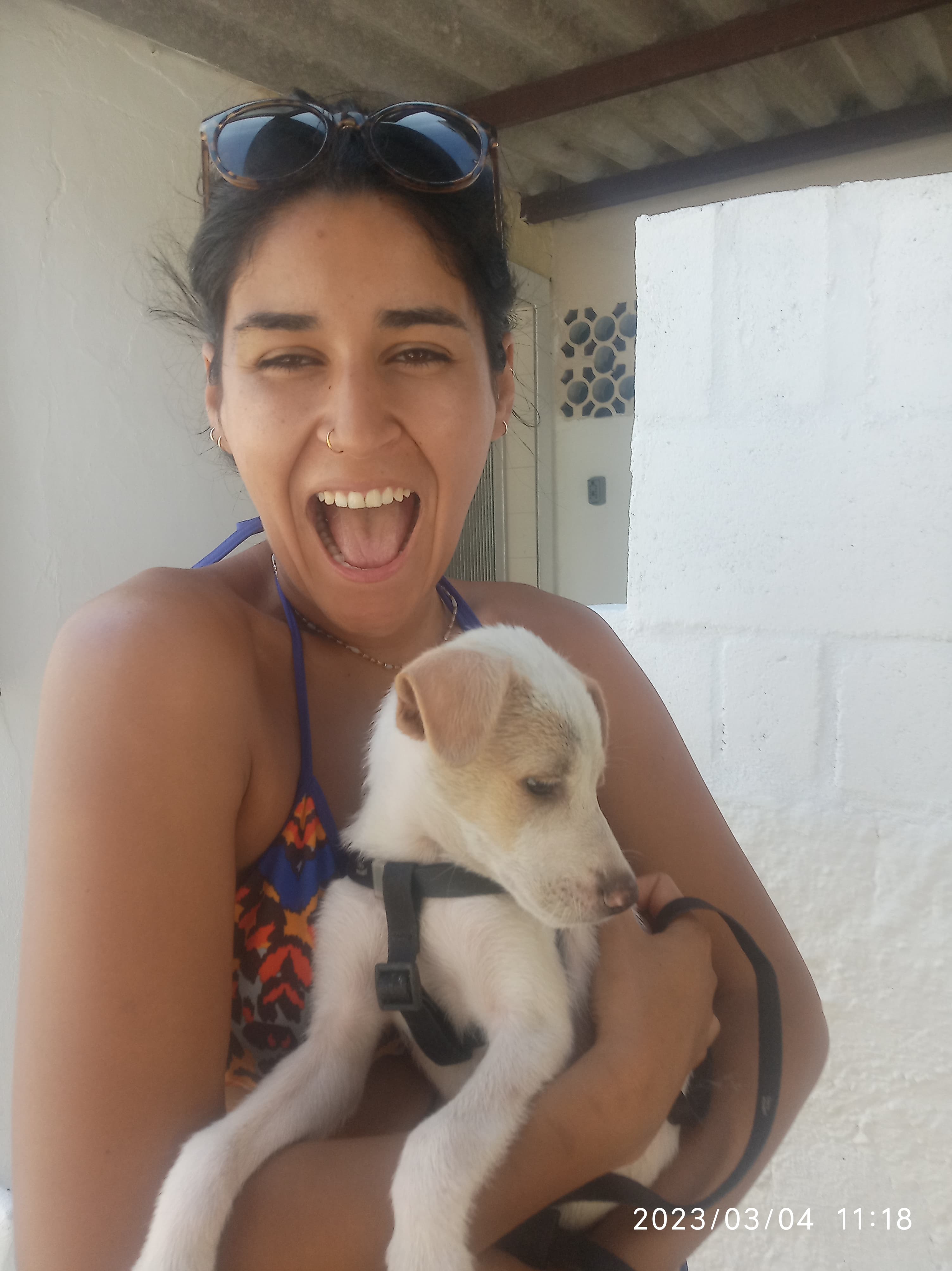 Edi Perrito